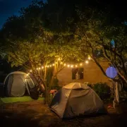 Tent Lobo