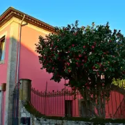 Casas Marias de Portugal