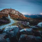 Mount Foia at night