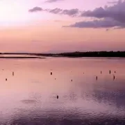 Parque Natural - Ria Formosa - Faro