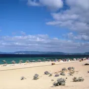 Praia da Comporta