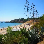 Praia de Santa Eulália