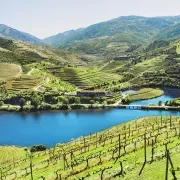 Authentic Douro Wine Tour Including Lunch and River Cruise