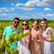 Private Full Day Setubal & Arrábida Wine Tour with Included Lunch