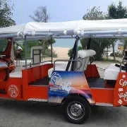 Tonys Tuk Tuk Tours