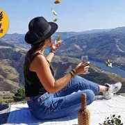 Douro Valley: Historical Sites, Wine Experience, Lunch & Cruise