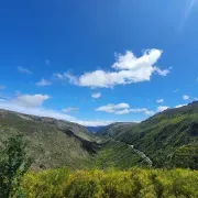 SERRA DA ESTRELA - Excursão com degustação de queijo da serra