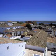 Faro