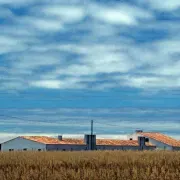 Farm near Sagres