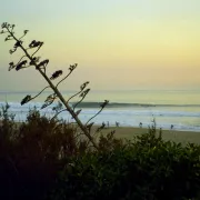 Carcavelos beach