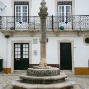 Ericeira Pillory Pole