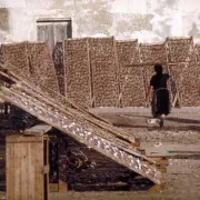 Fish Drying Racks in Nazare