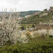 View of Lamego