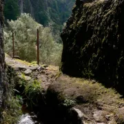 Levada - Madeira