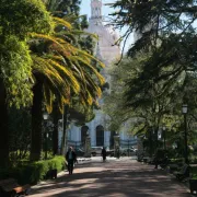 Estrela Garden and Basilica