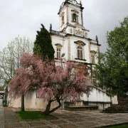 Igreja Matriz - Lousa