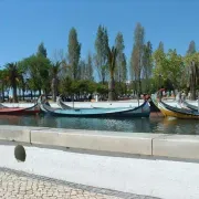 Aveiro Moliceiros