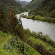 River Mondego