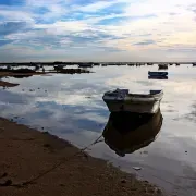 Olhao Boats