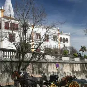 Horse and Carriage - Sintra