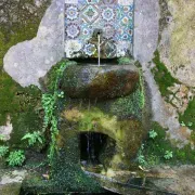 Woodland Spring - Sintra