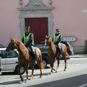 Horseback Police - Sintra