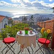 House with one bedroom in Funchal with wonderful sea view enclosed garden and WiFi