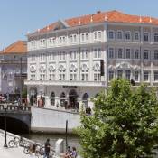 Hotel Aveiro Palace