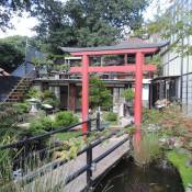 Zen Museu do Bonsai