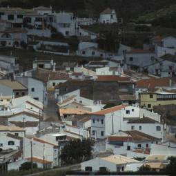 Figueira Houses
