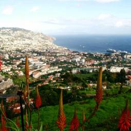 View over Funchal - Madeira