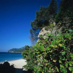 Arrabida Beach - Sesimbra