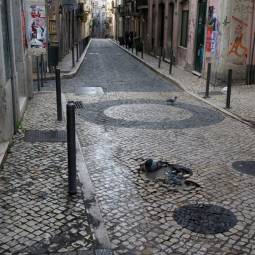 Bairro Alto Pigeon Bath