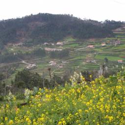 Terraced Fields in the Douro Valley