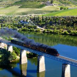 The Douro Railway