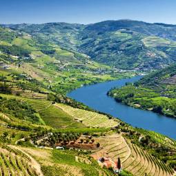 River Douro Valley