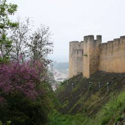 Tomar Castle Walls