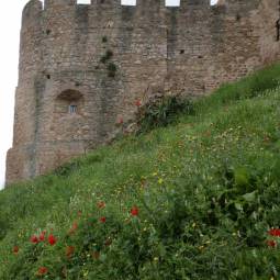 Torres Vedras Castle