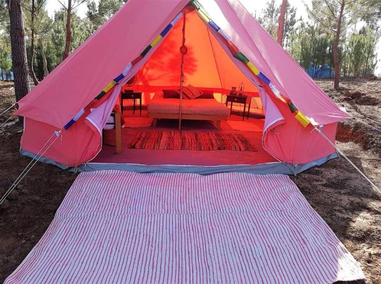 Coral Musa Tent
