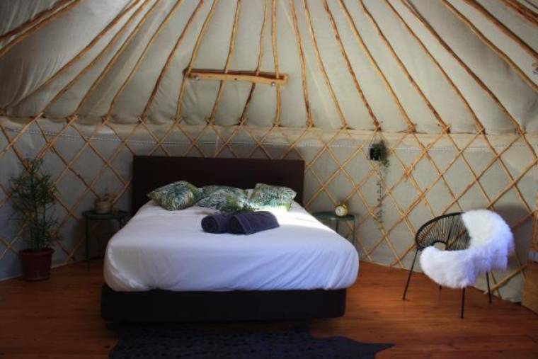 Yurt in orange grove