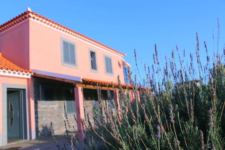 Rocha's House in Calheta