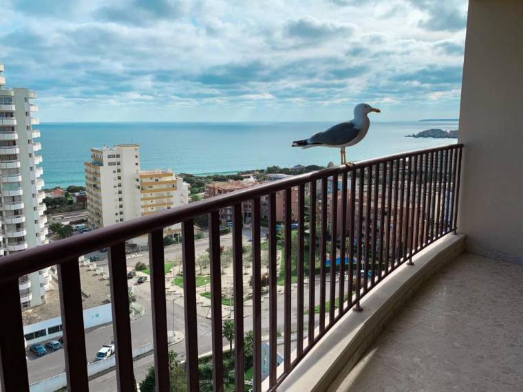 Panoramic Apartment in Portimao: Ocean view, WiFi