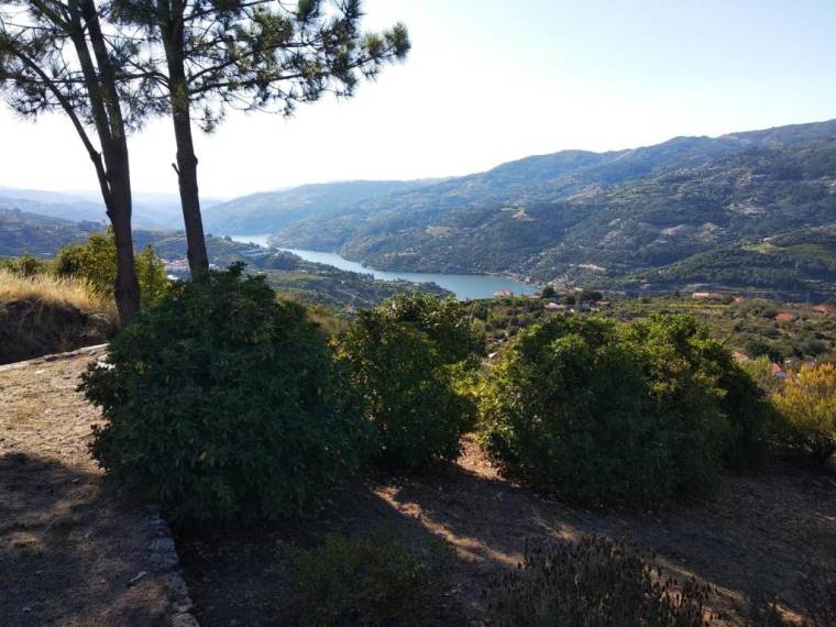 Paraíso Hills - Encostas do Paraíso: tranquilidade no Douro