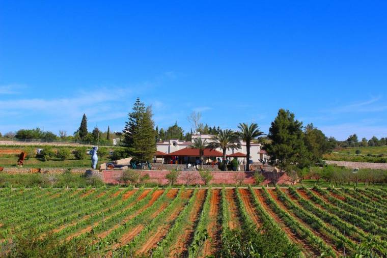 Quinta dos Vales Wine Estate