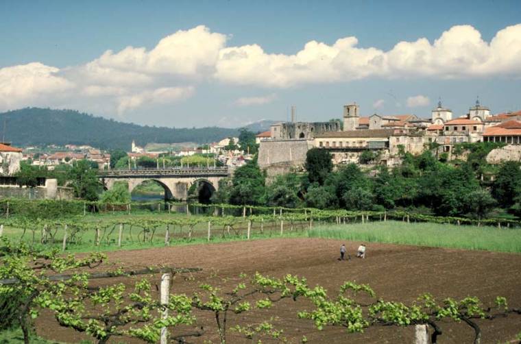 Barcelos across the Vinyards