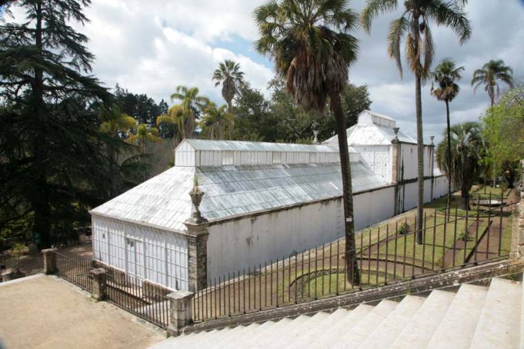Coimbra Botanical Gardens Glasshouse
