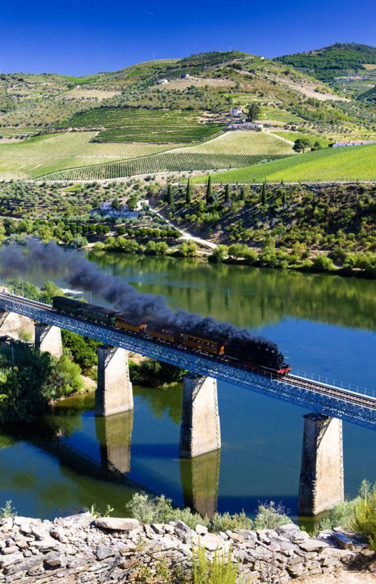 The Douro Railway