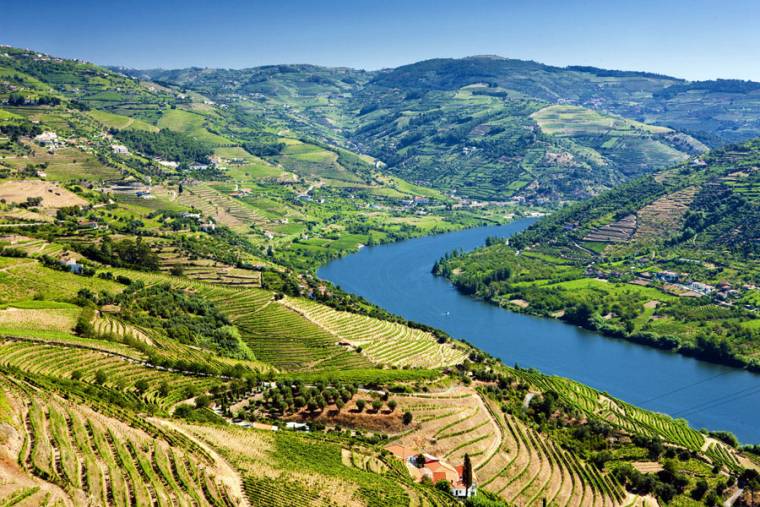 The River Douro Valley