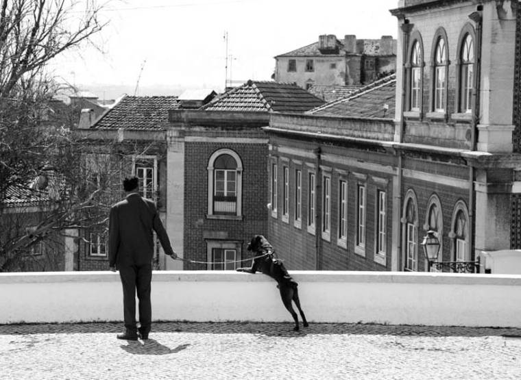 Man with dog - Alfama