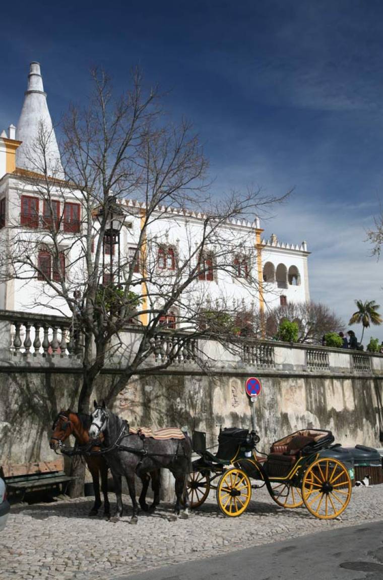 Horse and Carriage - Sintra